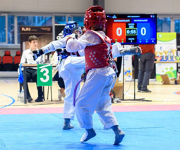 Martial arts